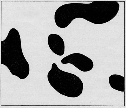 turing morph serveimage