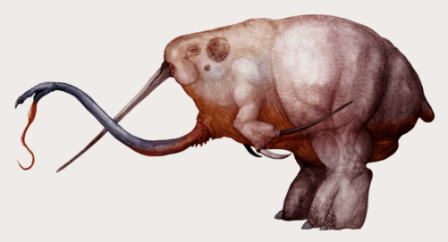 Schermata 2018-08-31 alle 01.55.15